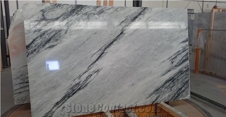 Dynossaurus Marble Slabs