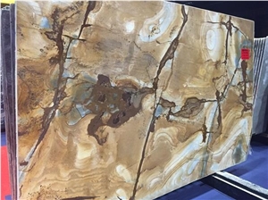 Palomino Gold Quartzite, Stone Wood Quartzite Slabs & Tiles