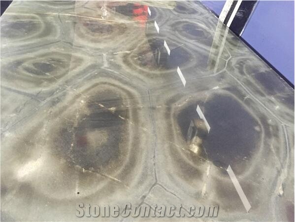 Turtle Illusion, Verde Tortuga Quartzite Slabs & Tiles