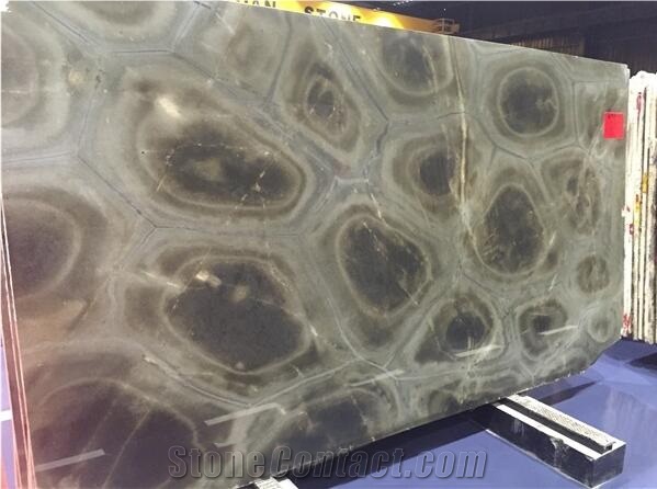 Turtle Illusion, Verde Tortuga Quartzite Slabs & Tiles