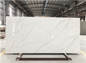 VG1102  Calacatta Gold