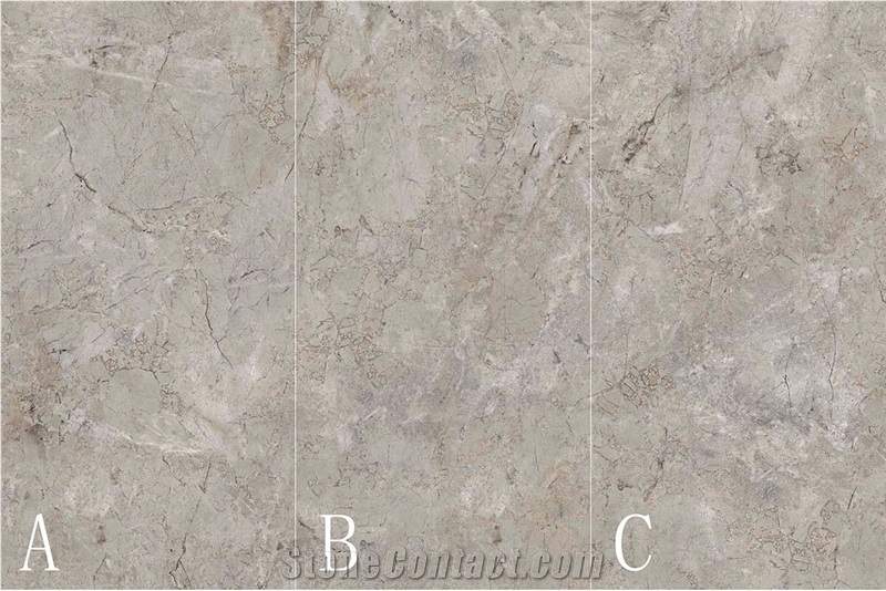 Silver Coleman Sintered Stone Slab