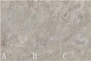 Silver Coleman Sintered Stone Slab