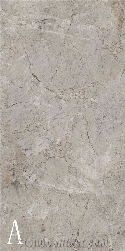 Silver Coleman Sintered Stone Slab