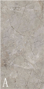 Silver Coleman Sintered Stone Slab