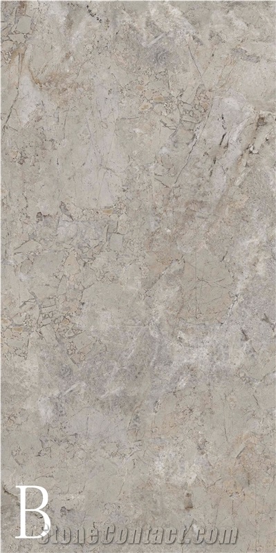 Silver Coleman Sintered Stone Slab