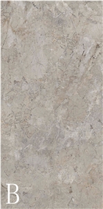 Silver Coleman Sintered Stone Slab