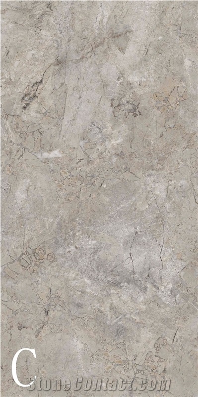 Silver Coleman Sintered Stone Slab