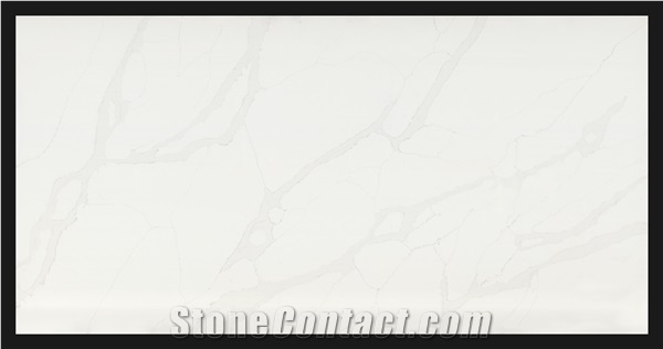 Calacatta Gold MS8816 Quartz Slabs