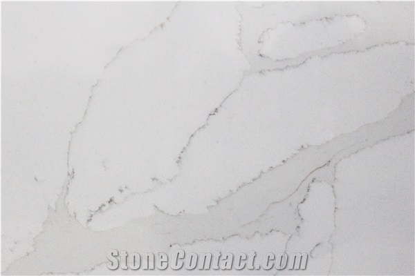 Calacatta Gold MS8816 Quartz Slabs