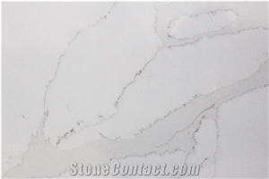 Calacatta Gold MS8816 Quartz Slabs