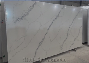 Calacatta MS1876 Quartz Slabs