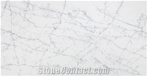 Calacatta Ondulato MS6110 Quartz Slabs