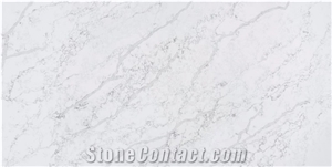 Calacatta Polar Ice MS6111 Quartz Slabs