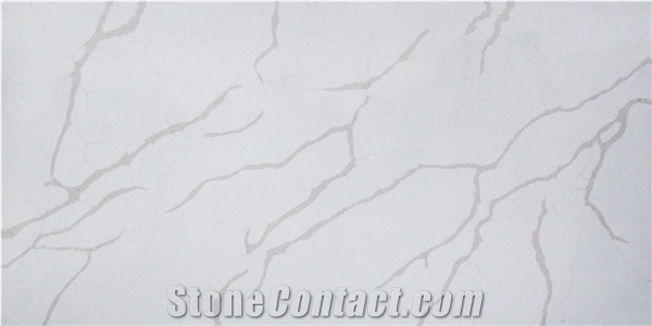 Calacatta Venato MS9094 Quartz Slabs