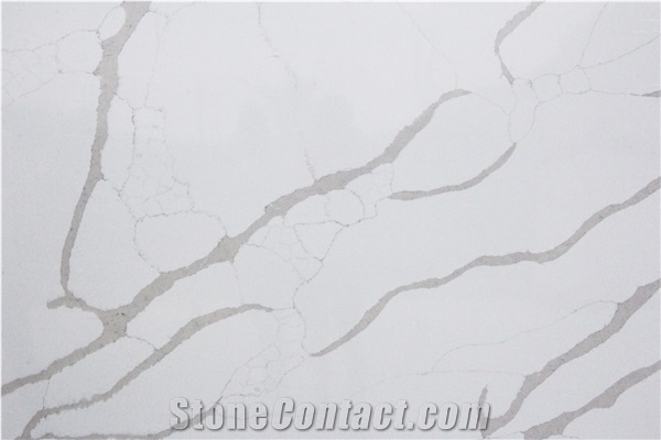 Calacatta Venato MS9094 Quartz Slabs