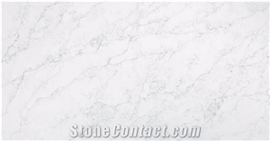 Quartz Slabs MS6100