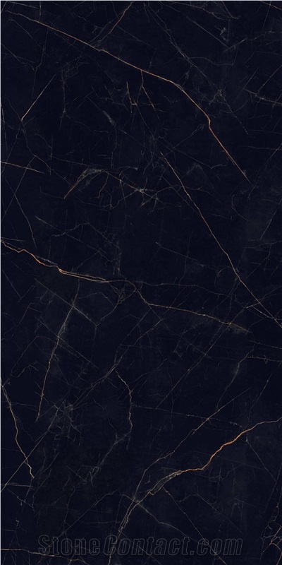 Nero Ardi Portoro Porcelain Slabs