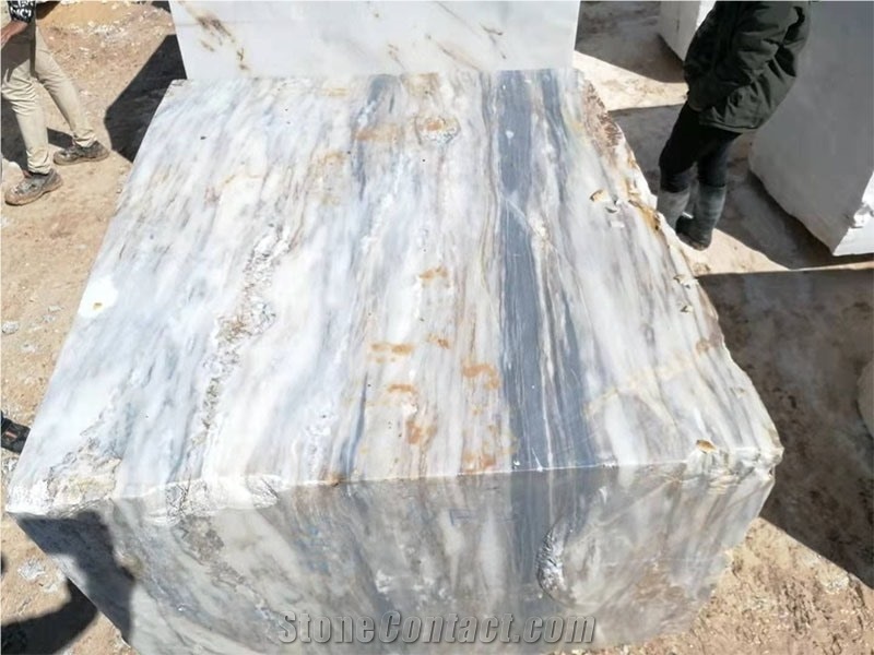 Light Blue Gray-White Marble, Palissandro Marble Blocks