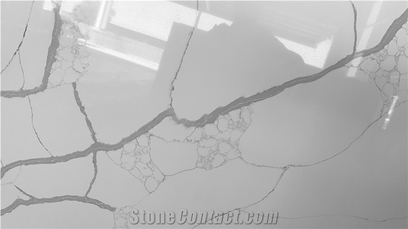 Calacatta Quartz Slabs-VV8165P Vincent Quartz