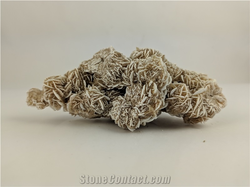 Rose Of Desert Gypsum Boulders