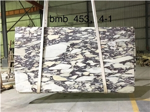 BVLGARI Marble Italymarble Calacatta Viola Purple Slab Tile