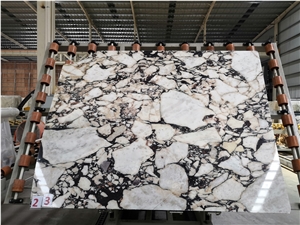 BVLGARI Marble Italymarble Calacatta Viola Purple Slab Tile