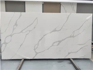 Exotic Stone Looking Quartz Slabs