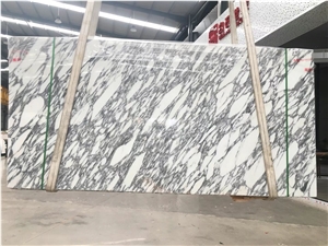 Arabescato Corchia Marble Arabescato White Marble Slabs