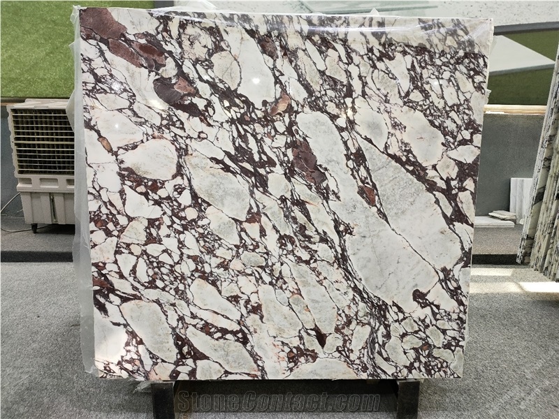 Breccia Capraia Marble Tiles Calacatta Viola Marble Slabs