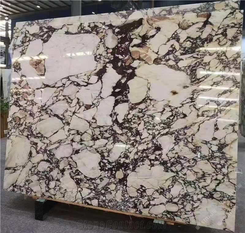 Breccia Capraia Marble Tiles Calacatta Viola Marble Slabs