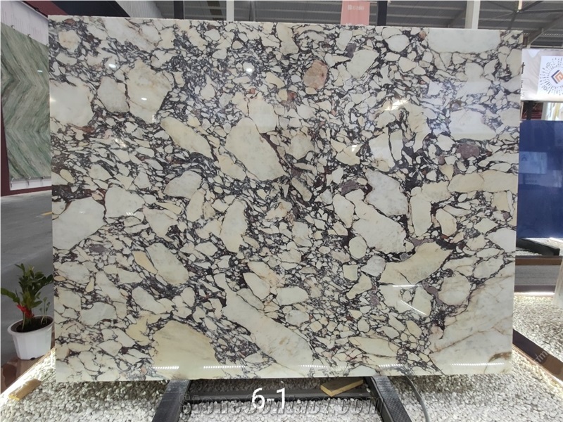 Breccia Capraia Marble Tiles Calacatta Viola Marble Slabs