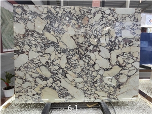 Breccia Capraia Marble Tiles Calacatta Viola Marble Slabs