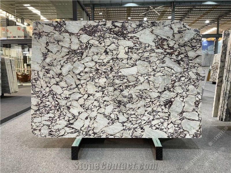 Breccia Capraia Marble Tiles Calacatta Viola Marble Slabs