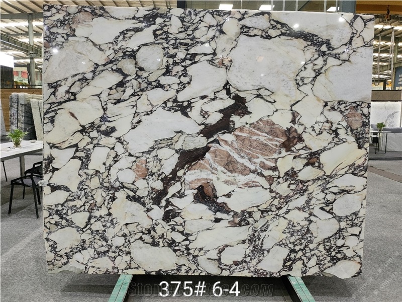 Breccia Capraia Marble Tiles Calacatta Viola Marble Slabs