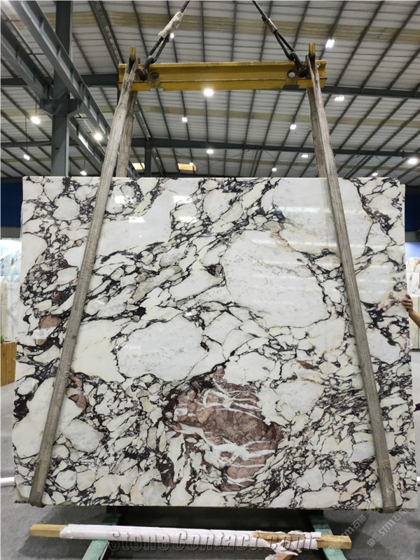 Breccia Capraia Marble Tiles Calacatta Viola Marble Slabs