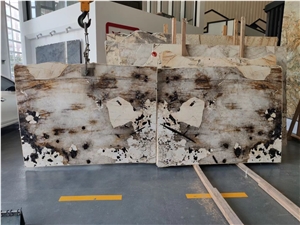 Pandora  White Granite  Brazil Pandora White Quartzite Tiles
