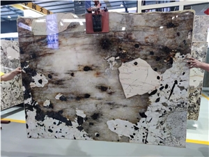 Pandora  White Granite  Brazil Pandora White Quartzite Tiles