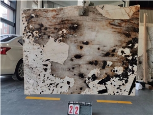 Pandora  White Granite  Brazil Pandora White Quartzite Tiles