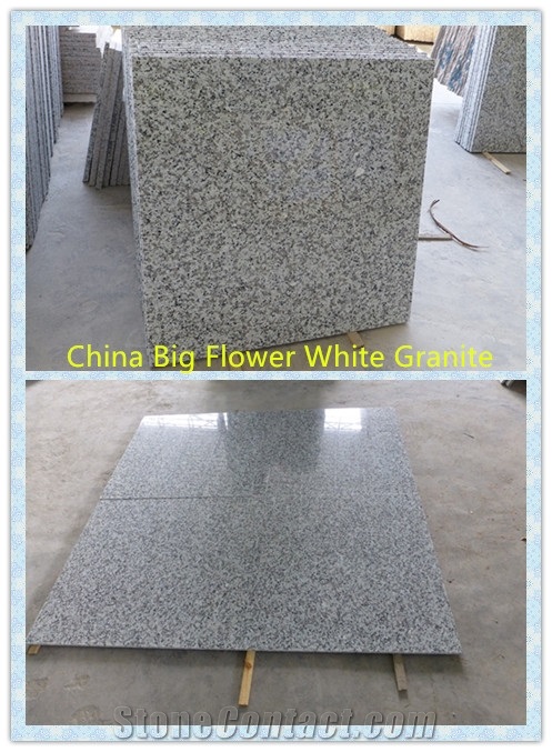 Granite Bianco Sardo/Puning White Granite Flooring Cladding