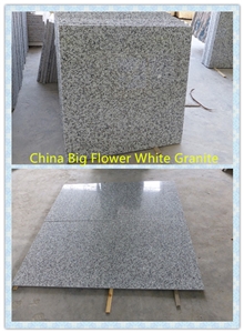 Granite Bianco Sardo/Puning White Granite Flooring Cladding