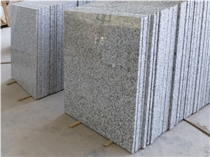 Granite Bianco Sardo/Puning White Granite Flooring Cladding