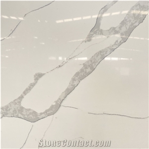 Calacatta Leon Quartz Slabs, Calacatta Quartz Slabs