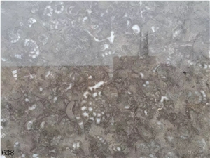 Conchiglia Rara Marble Marmi Slab Tile In China Stone Market