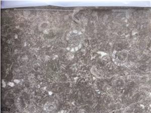 Conchiglia Rara Marble Marmi Slab Tile In China Stone Market