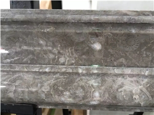 Conchiglia Rara Marble Marmi Slab Tile In China Stone Market