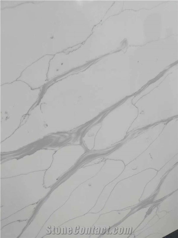 Newest Calacatta Quartz Arrival Counter Top
