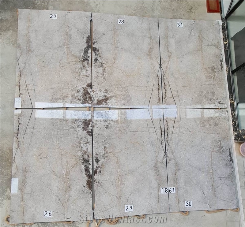 Fantastic Grey Marble- Desert Silver Marble Slabs