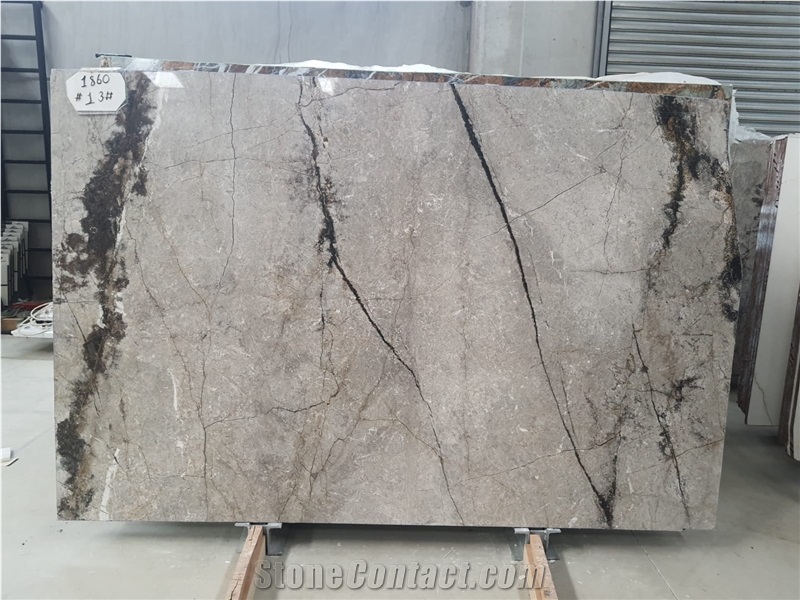 Fantastic Grey Marble- Desert Silver Marble Slabs