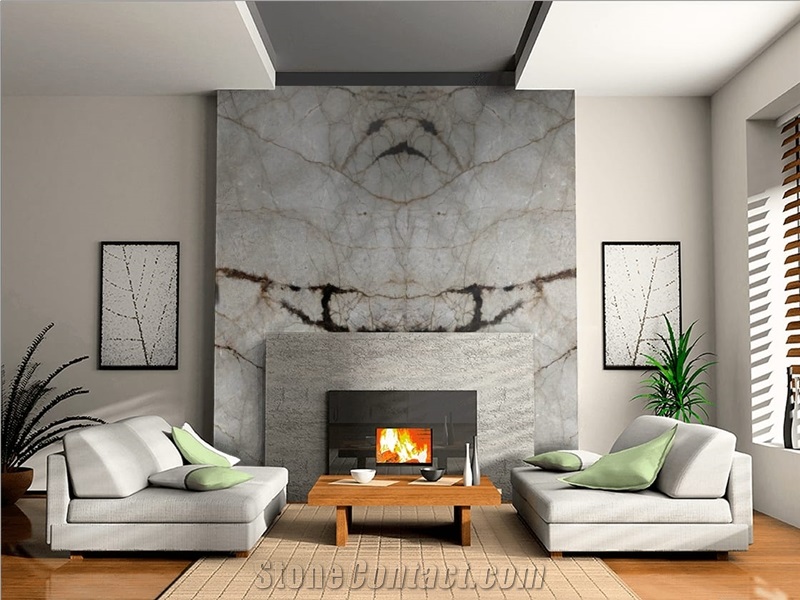 Fantastic Grey Marble- Desert Silver Marble Slabs